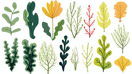 Set of colorful hand drawn edible algae vector grap