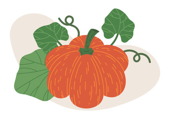 Halloween orange pumpkin. Halloween october holiday pumpkin decoration, cute traditional squash vegetable flat vector illustration. Fall holidays gourd on white