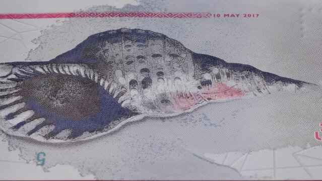 5 Maldives rufiyaa MVR national currency legal tender banknote bill bank 1