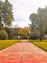 Fototapeta premium Brick road between gardens and trees