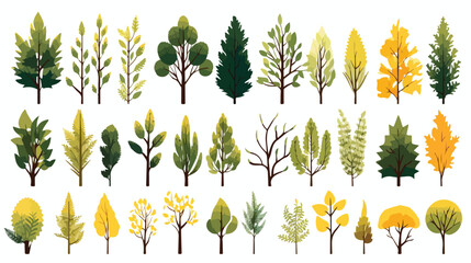 Set of deciduous and evergreen forest plants. Botan