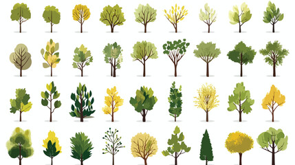 Set of deciduous and evergreen forest plants. Botan