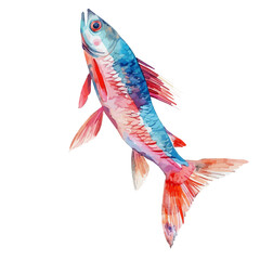 Watercolor Vector painting of a mullet fish, isolated on a white background, mullet fish vector, mullet fish clipart, mullet fish art, mullet fish painting, mullet fish Graphic, drawing clipart.
