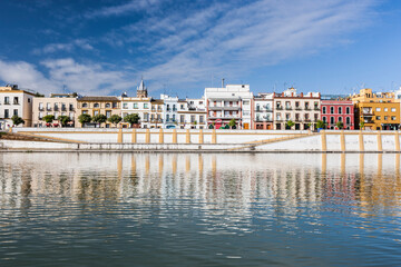 Betis treet by the Guadalquivir river, Seville, Spain