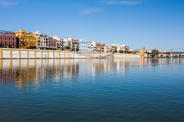 Betis treet by the Guadalquivir river, Seville, Spain