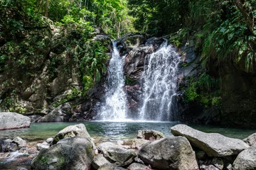 Fototapete Rund waterfall in the tropical forest - Cascade Didier at Martinique island © MIKE FOUQUE