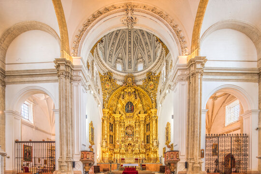 Colegiata de Nuestra Se&ntilde;ora de la Anunciaci&oacute;n, Osuna, province of Seville, Spain