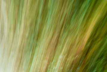 abstract background green