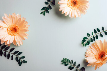 Three yellow gerbera flowers and green leaves on light background. Top view, flat lay, copy space