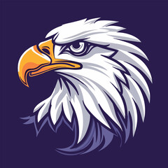 Eagle sports mascot vector illustration