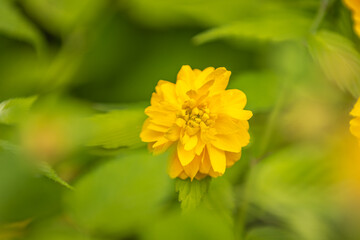 Seoul, South Korea - April 22 2024 