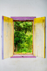 Open blue window with a view of the forest on a farm.