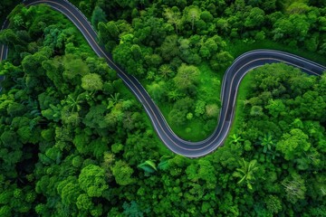 Forest road graced,Aerial top view beautiful curve road on green forest in the rain,aerial view of a cart track in the forest surrounded by green,Aerial top view beautiful curve road on. Generated AI