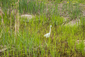 Seoul, South Korea - April 22 2024 
