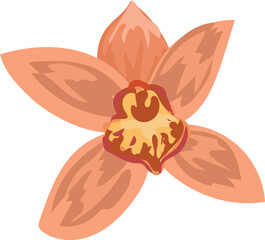 Orchid flower illustration on transparent background.

