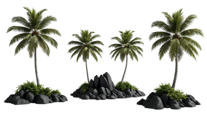 Large tropics palm trees shapes cutout white backgrounds 3d rendering