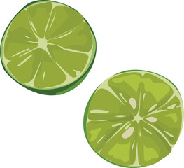 Lime illustration on transparent background.
