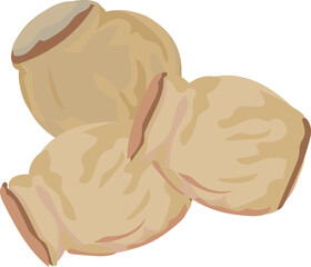 Hoi jo illustration on transparent background.
