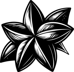 Carambola black outline illustration. Coloring book.