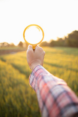 Researchers carry magnifying glasses over barley plants to look for errors in the plants so they...