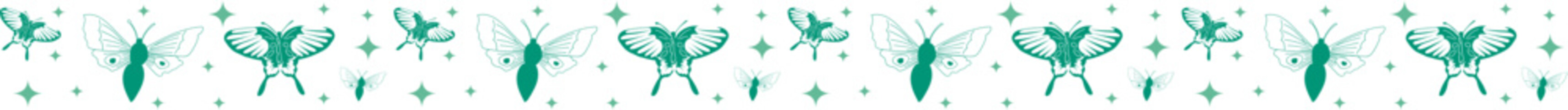 Butterfly with star line border illustration on transparent background.
