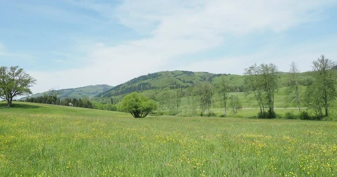 Gr&uuml;ne und blumig H&uuml;gel Rund um Weitenau (Steinen) im Vorderen Wiesental des S&uuml;dschwarzwalds. Blick auf die L136 Richtung Hofen am Fu&szlig;e des Henschenbergs