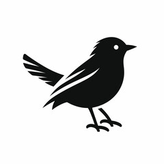 black bird silhouette vector illustration white background