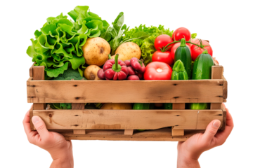 A man's hands hold box with vegetables on a white or transparent background. Selling vegetables at a market or store close-up.