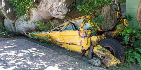 Yellow bus under tree in city of Roseau, Dominica, Caribbean Island.