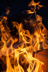Fototapeta premium fire in the fireplace wallpaper