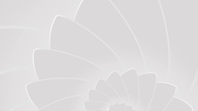 Moving Spiral Shell Pattern Clean White And Light Gray Background