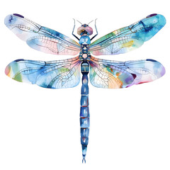 Vibrant Watercolor Clipart Intricately Painted Dragonfly on White