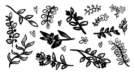 Different branches of plants. Vector decoration element for graphic design.