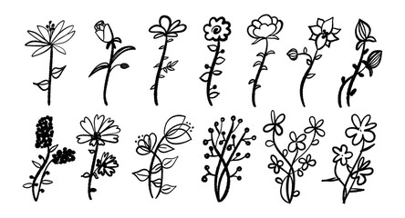 Cute hand drawn flowers set. Decoration elements. Vector design graphic elements collection.
