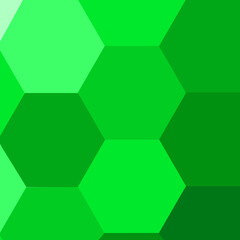 Emerald Green Turtle Shell Hexagons