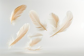 Close up of a feathers floating in the air in white background