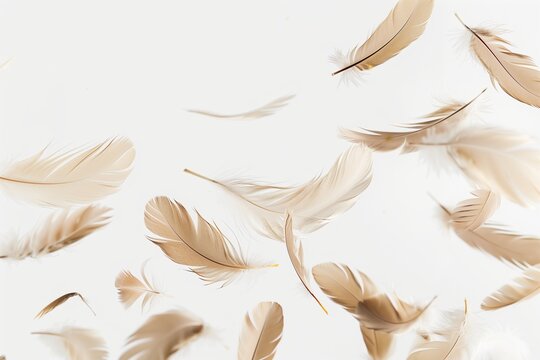 Close up of a feathers floating in the air in white background