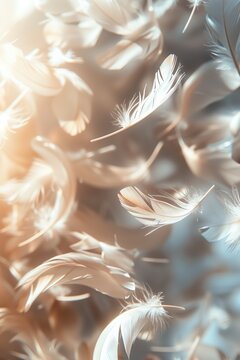 Close up of feathers floating in the air