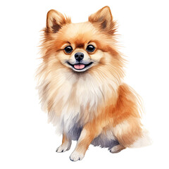 AI-Generated Watercolor cute Pomeranian Clip Art Illustration. Isolated elements on a white background.