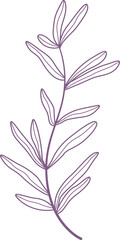 leaves. Hand drawn decorative elements	