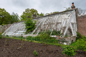 derelict greenhouse in walled garden