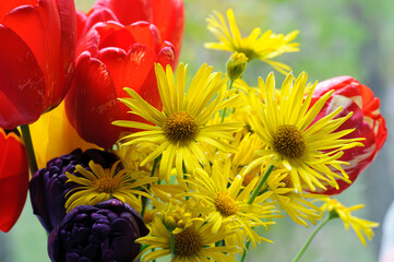 red and yellow flowers