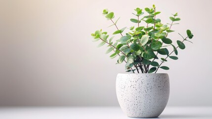  A potted plant with green leaves sits on a white table against a light-colored wall