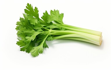Celery Against Clean White