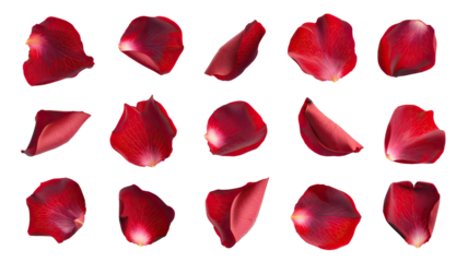 Set of red rose petals, cut out