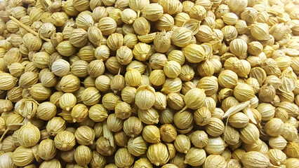 close up of pile of coriander seeds