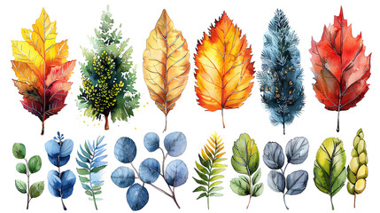 Colorful watercolor leaves and berries. Autumn or fall season. Botanical illustration.