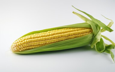Corn on Clean White Surface
