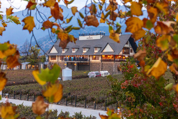 Alyan Family Wines main headquarters