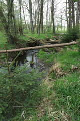 Pogórze Kaczawskie, Polska © Strumyk